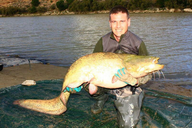 CARP FISHING...... - img-20131113-wa0012.jpg